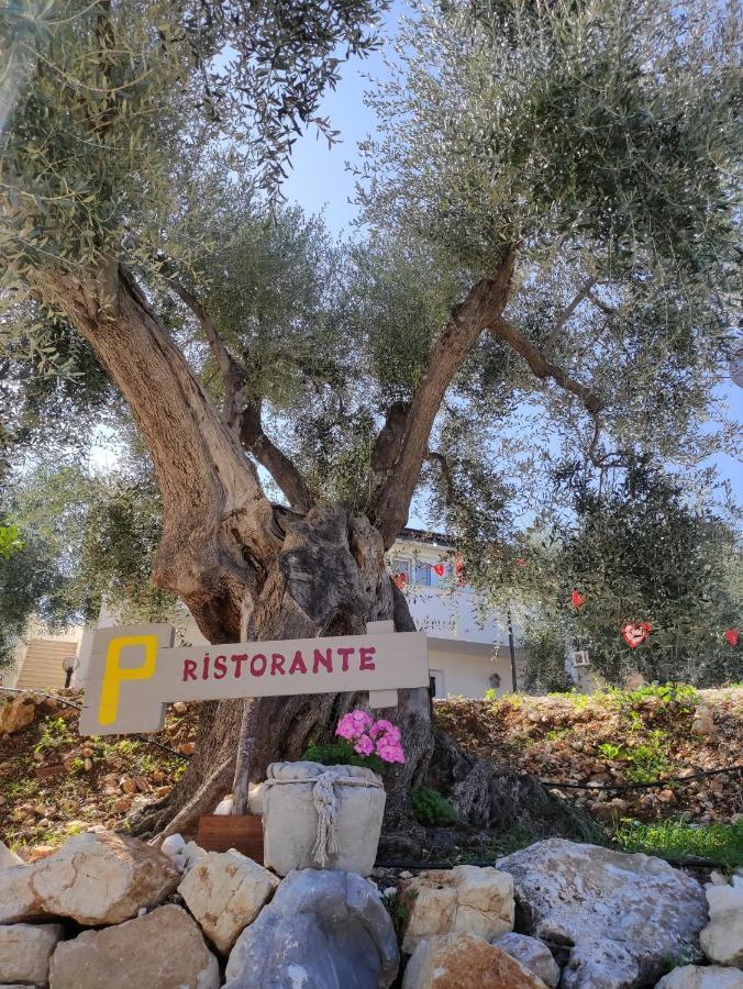 Agriturismo Passione Natura Vieste Eksteriør bilde